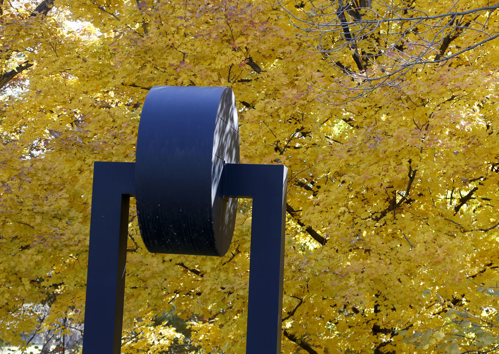 Fall Foliage